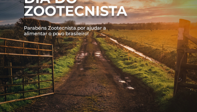 post_zoot_01 post_zoot_01