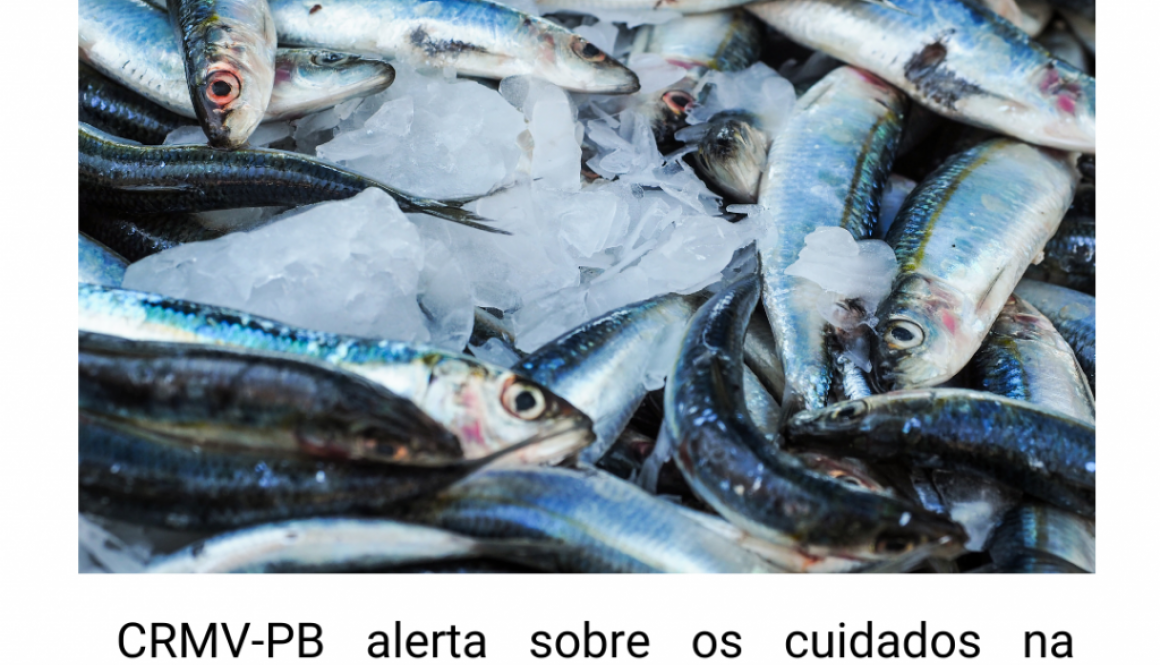 post_3103_pescado