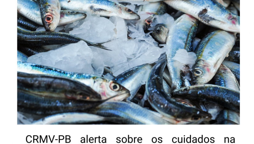 post_3103_pescado