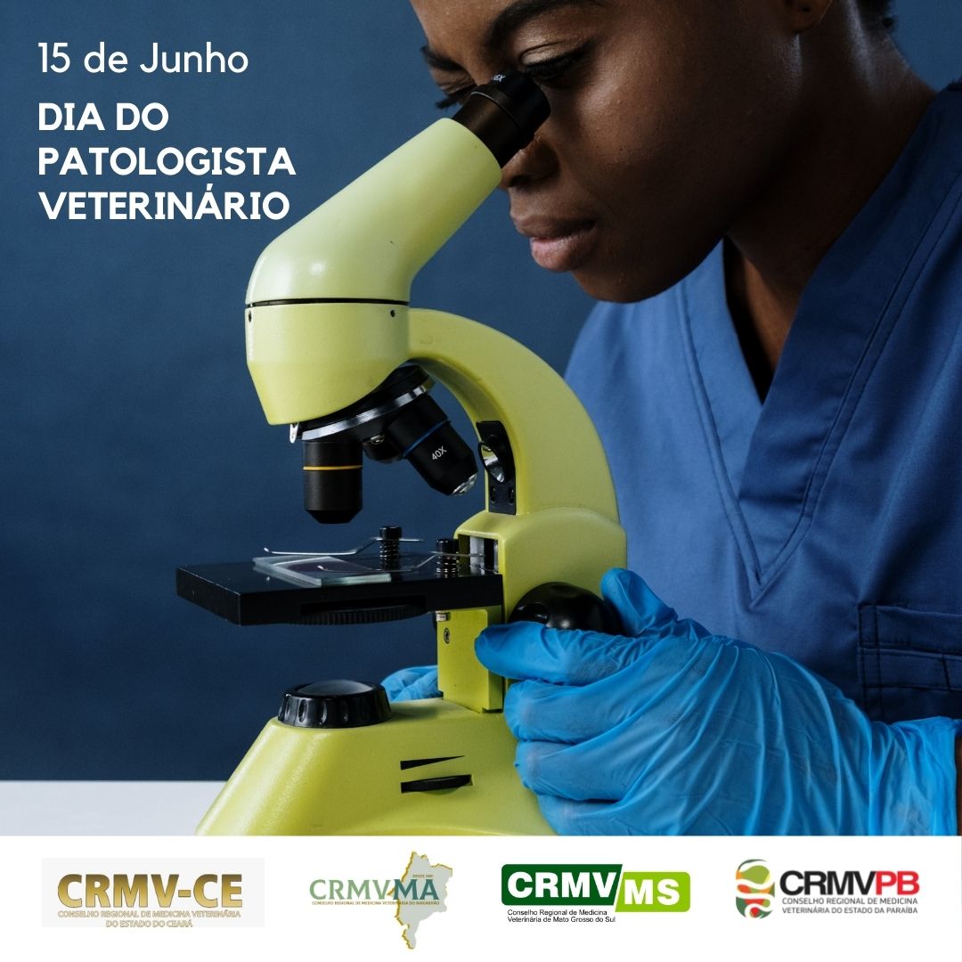 CRMVs CE, MA, MS E PB CELEBRAM 15 DE JUNHO – DIA DO PATOLOGISTA