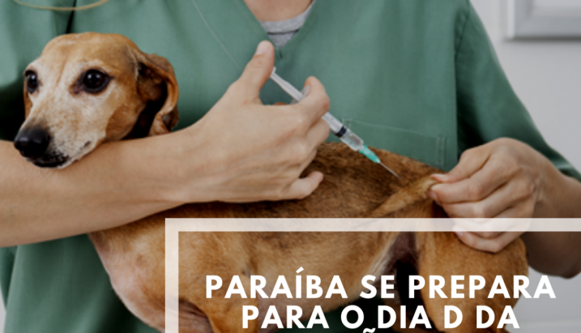Dia D de Vacinação contra a Raiva