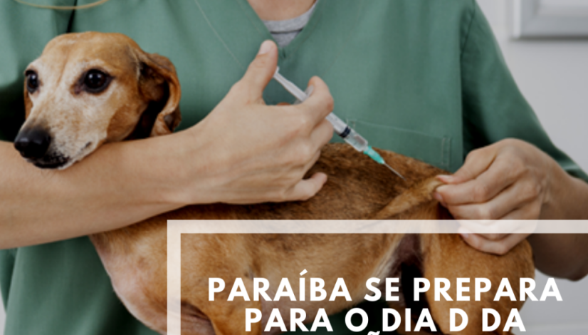 Dia D de Vacinação contra a Raiva