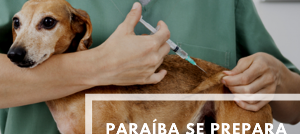 Dia D de Vacinação contra a Raiva