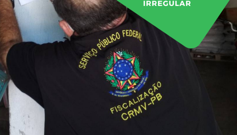 notícias (1)