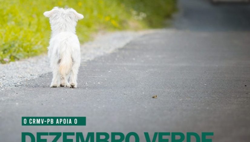 WhatsApp Image 2021-12-01 at 14.57.36