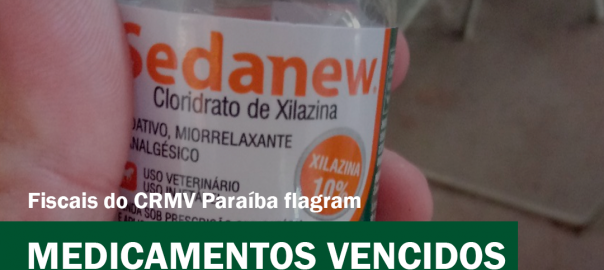 Prancheta 16