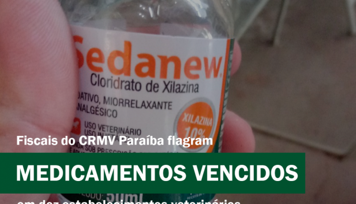 Prancheta 16