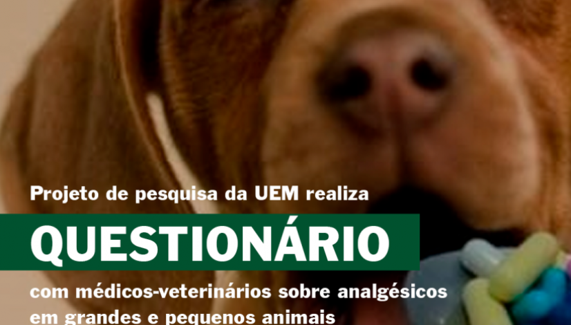 Prancheta 7 Prancheta 7