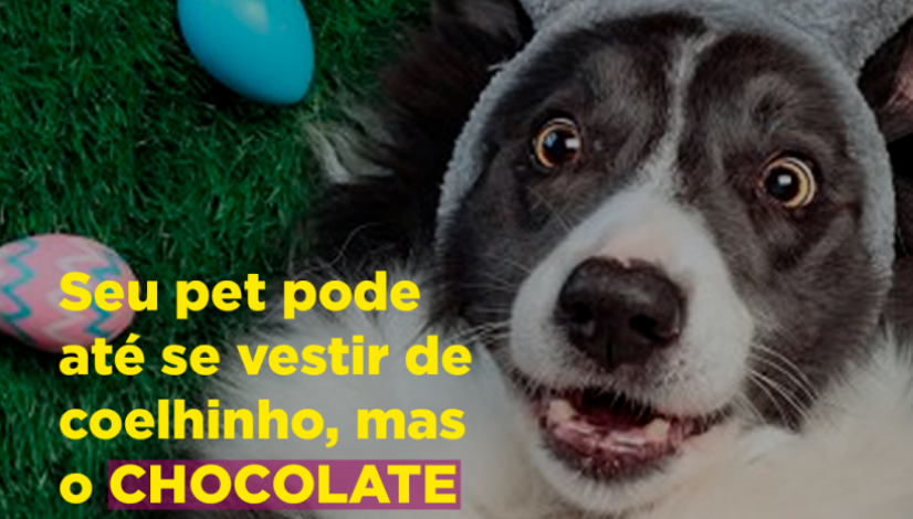 Prancheta 16 Prancheta 16