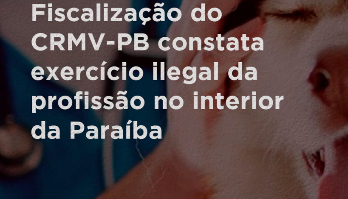Prancheta 23