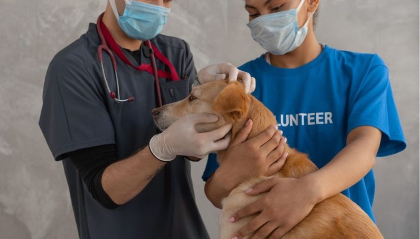 WhatsApp Image 2022-09-22 at 14.22.50