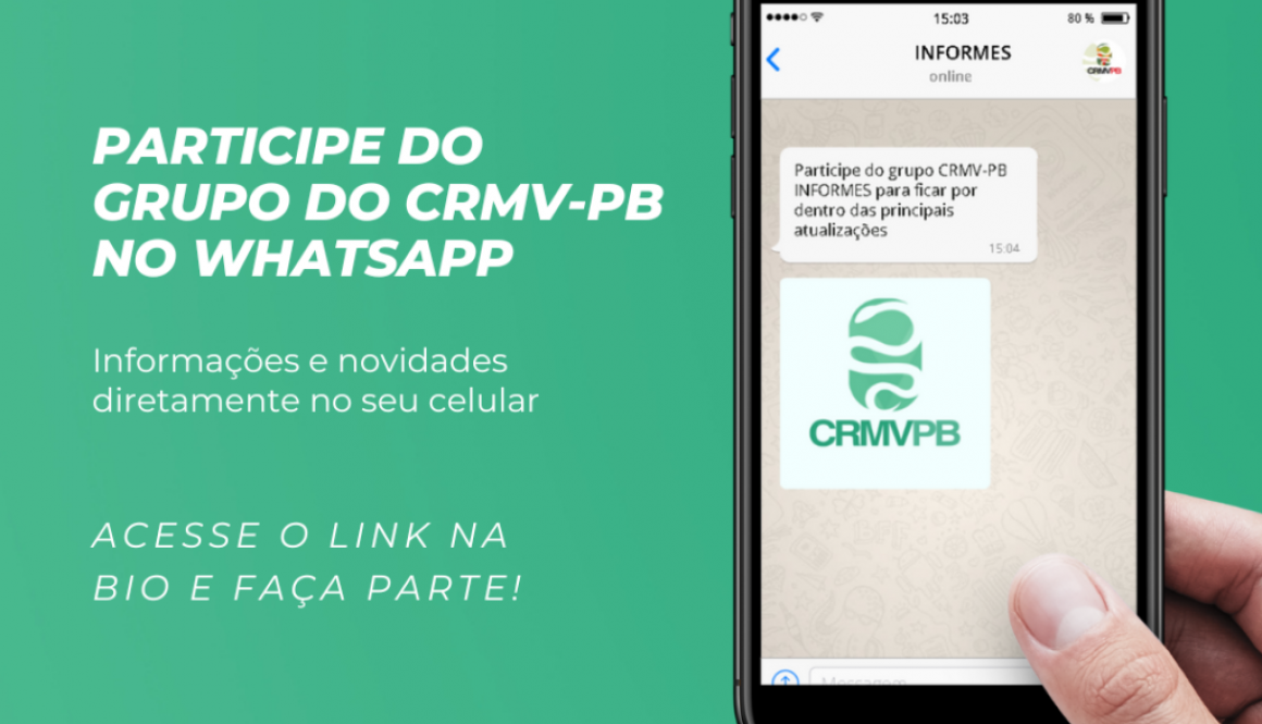 post em vídeo sobre contato no zap e suporte online