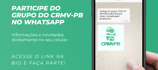 post em vídeo sobre contato no zap e suporte online