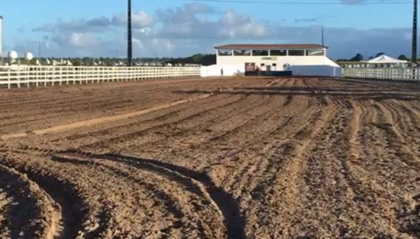 62214672_2389776574441660_102328449584668882_n