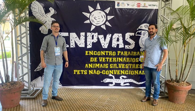 29b9cce6-e29e-4393-8260-3ff7b219d951