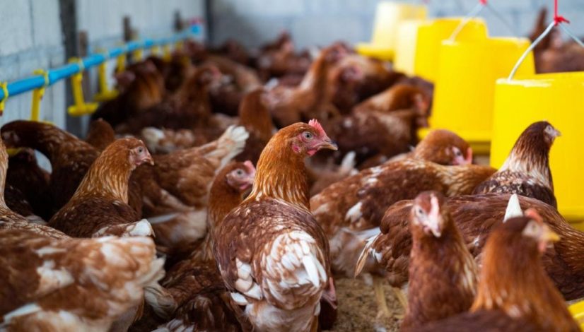 36a2cf0b-39a3-4255-886c-e44cfd9437b1