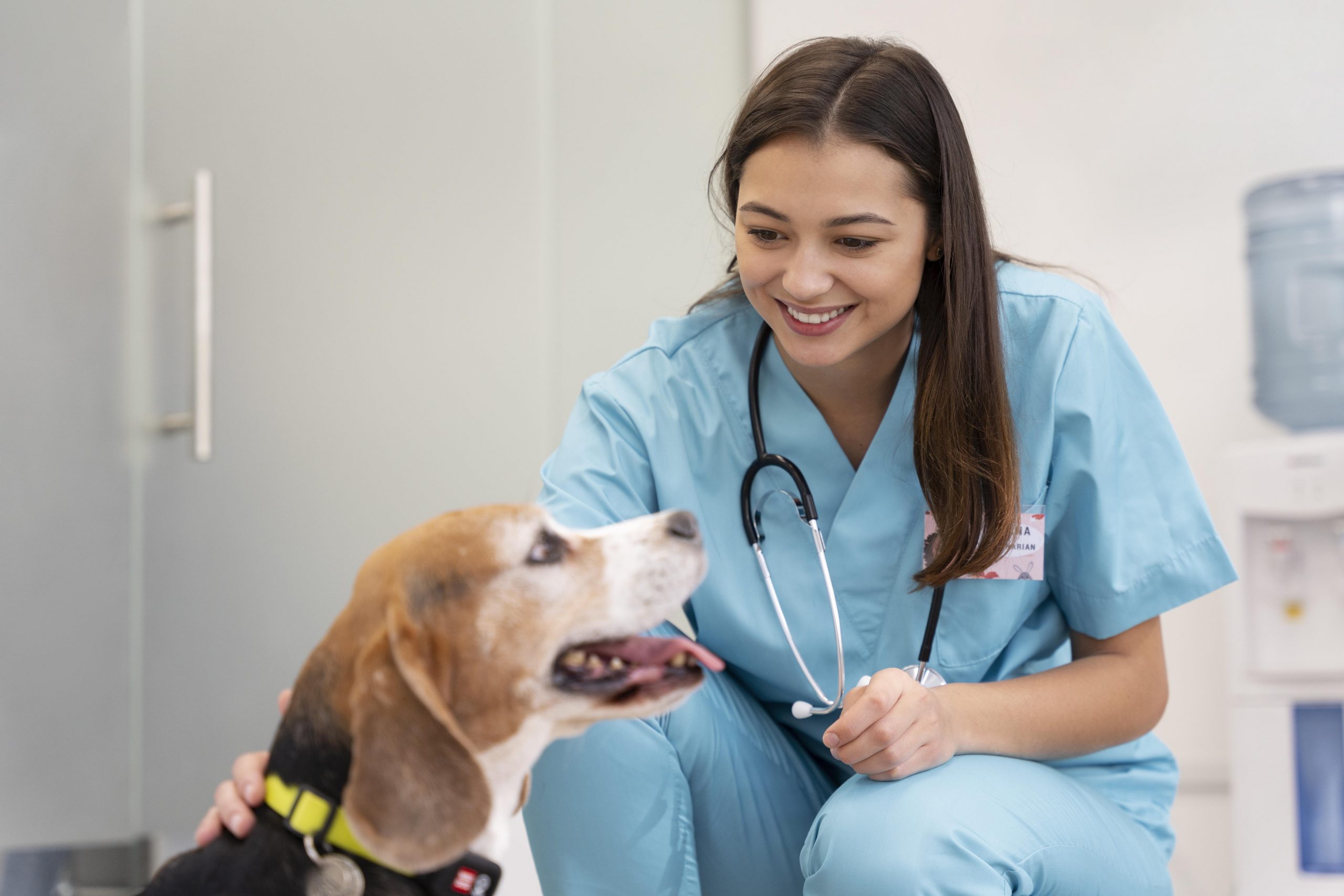 medium-shot-veterinarian-cute-dog (1)