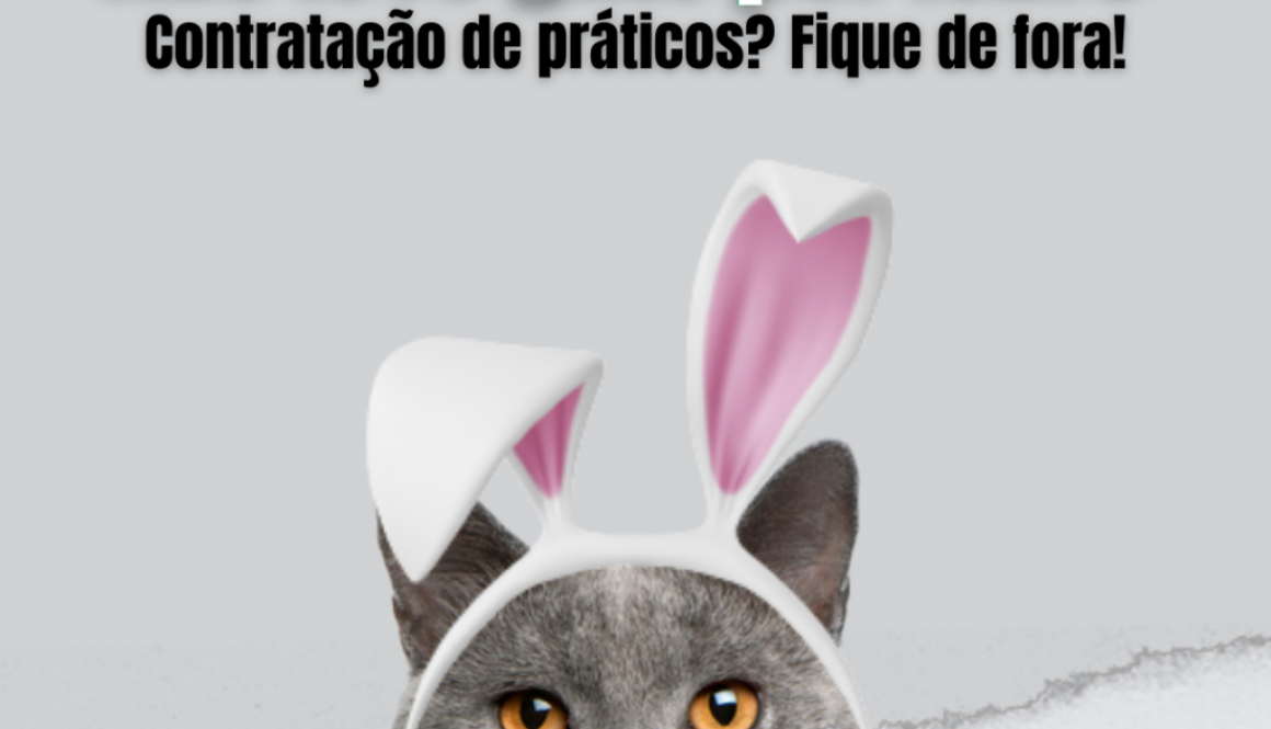 Não leve gato por lebre (10)