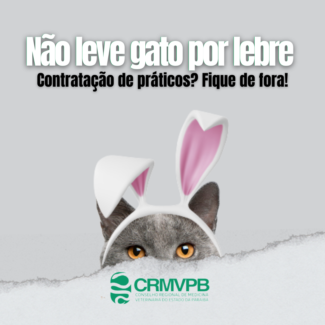 Não leve gato por lebre (10)
