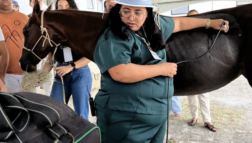 85E93DE9-19FD-4EF3-9E25-DA5D8593F835 85E93DE9-19FD-4EF3-9E25-DA5D8593F835