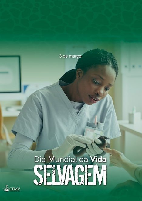 Captura de tela 2023-03-03 175455