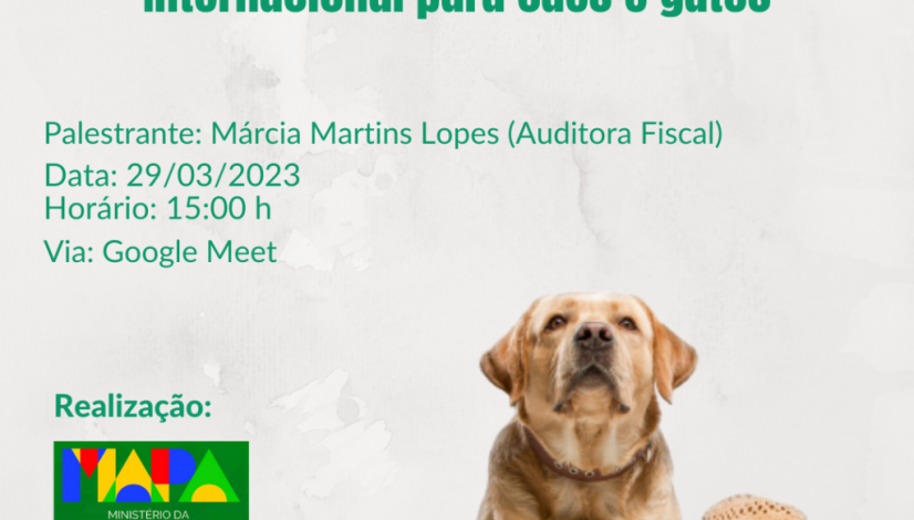 Certificado Veterinário Internacional para cães e gatos (1) Certificado Veterinário Internacional para cães e gatos (1)