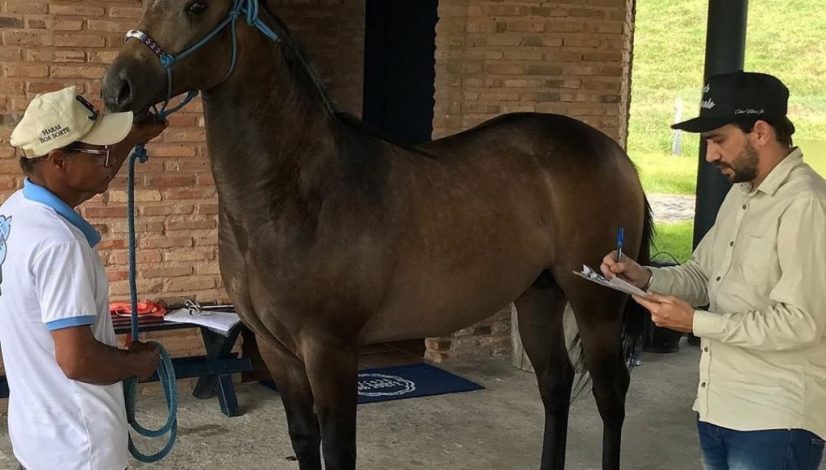 WhatsApp Image 2023-03-15 at 15.26.21 WhatsApp Image 2023-03-15 at 15.26.21