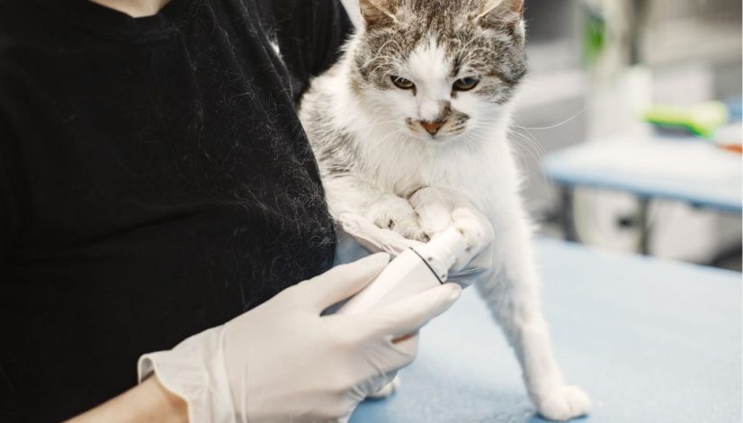 Design sem nome Design sem nome