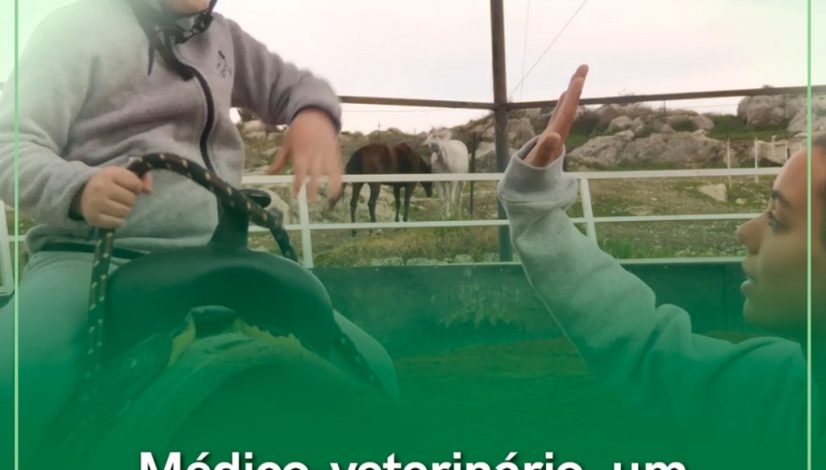 WhatsApp Image 2023-08-09 at 15.19.31 (1) WhatsApp Image 2023-08-09 at 15.19.31 (1)