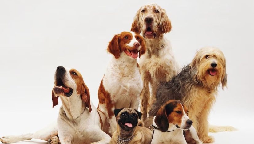 WhatsApp Image 2023-08-25 at 13.14.41 WhatsApp Image 2023-08-25 at 13.14.41