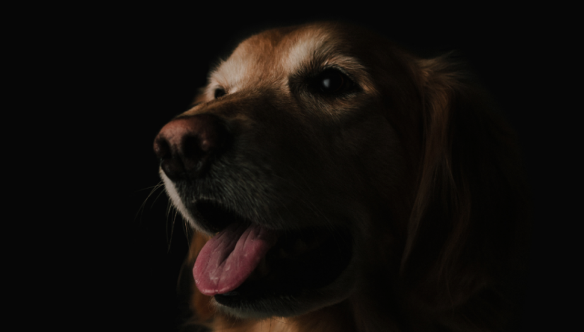 post do instagram abril azul autismo escolar colorido azul post do instagram abril azul autismo escolar colorido azul