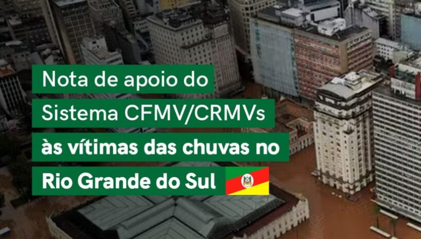 WhatsApp Image 2024-05-06 at 08.09.07