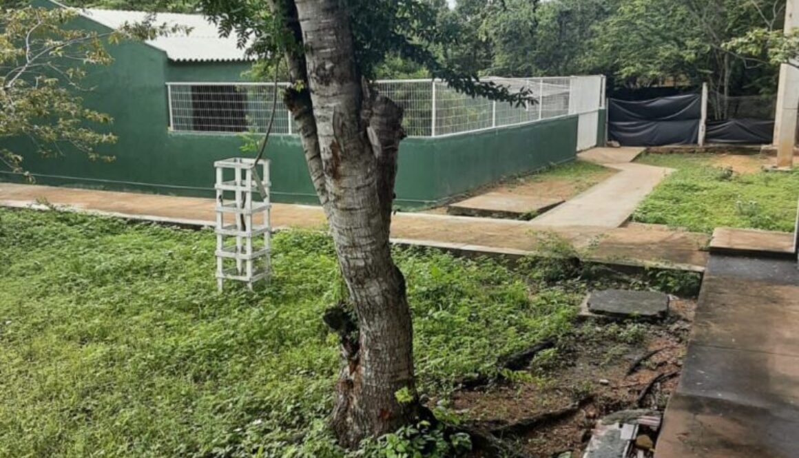 WhatsApp Image 2024-05-08 at 12.45.21