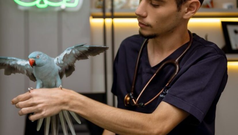 afe701ea-4812-4c76-a3d7-51b2ad28921c