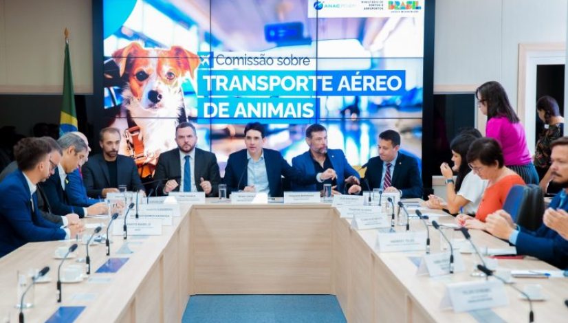 anac-768x513 anac-768x513