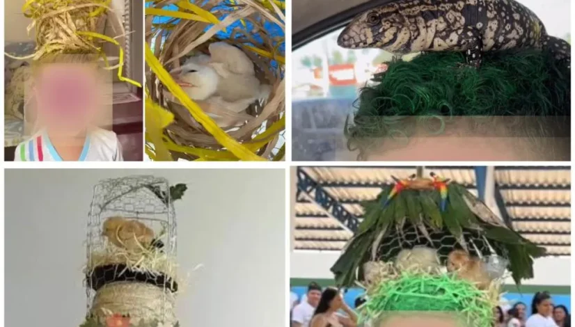 a863d2972f4ebdc43b6aca67d278d70b a863d2972f4ebdc43b6aca67d278d70b