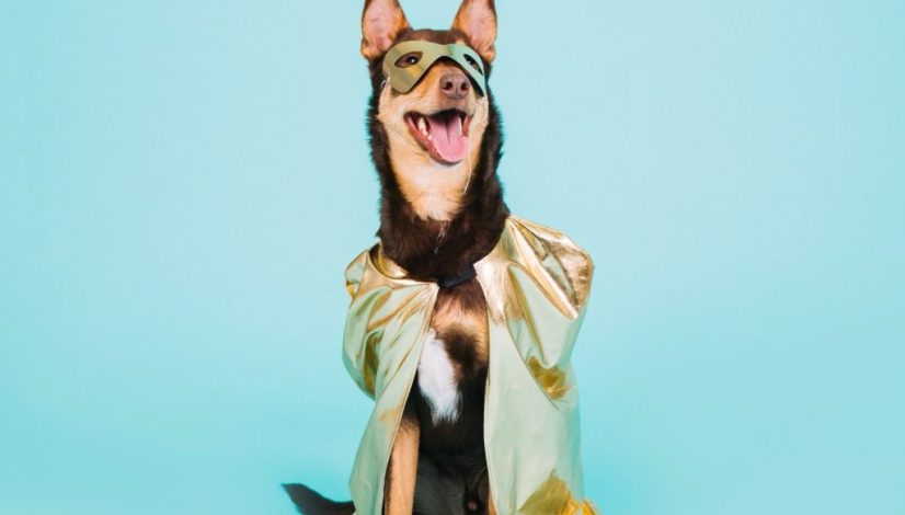 412722a3-4edb-440b-a79d-9c6267522eb4