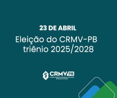 Retrato instagram para campanha eleitoral profissional azul