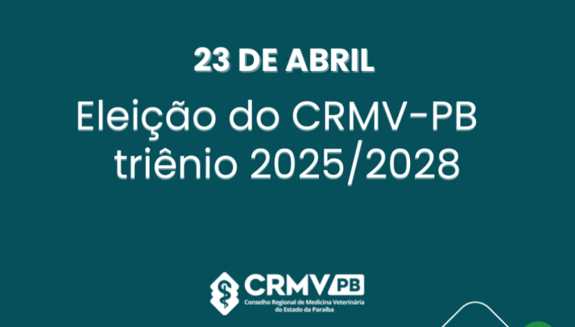 Retrato instagram para campanha eleitoral profissional azul