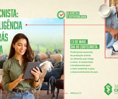 KV_Linha_02-3-768x432