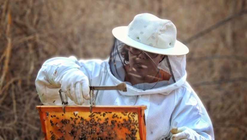 WhatsApp Image 2025-05-20 at 08.52.32