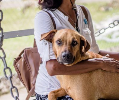 Female with her hands on a brown companion dog