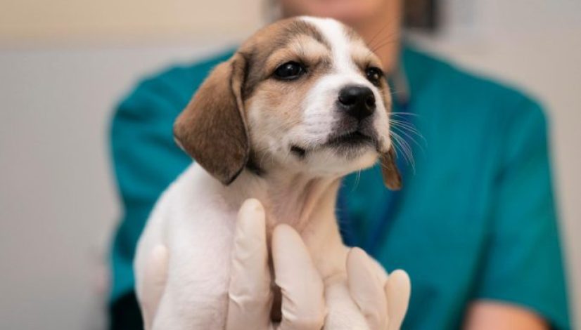 WhatsApp Image 2025-07-08 at 12.41.12