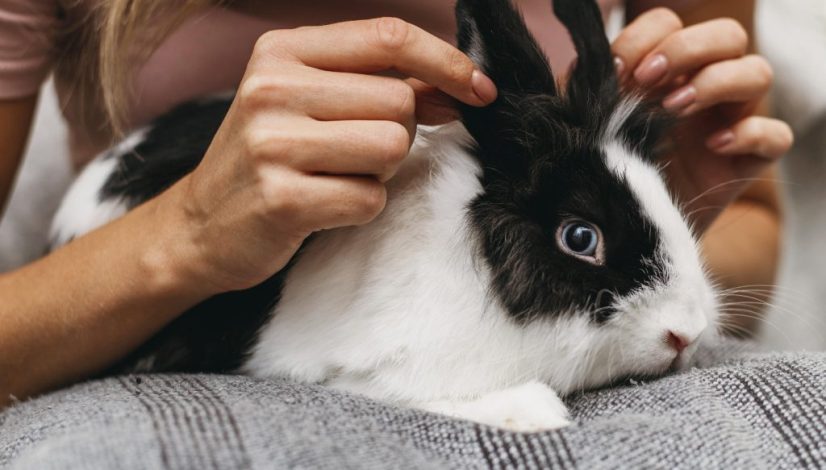 f8688fd7-a668-588f-53bd-39bdc3298090