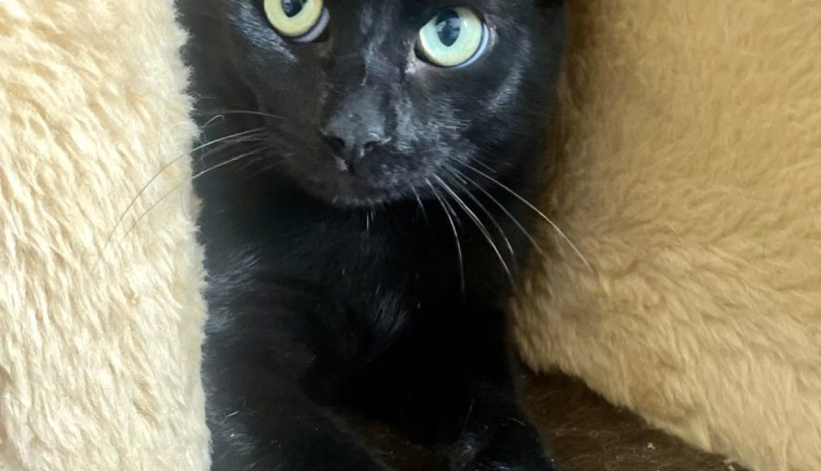 9163bacd-74d9-4feb-888b-af4a9d251ef9