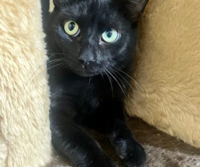 9163bacd-74d9-4feb-888b-af4a9d251ef9 9163bacd-74d9-4feb-888b-af4a9d251ef9