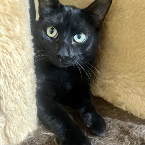 9163bacd-74d9-4feb-888b-af4a9d251ef9