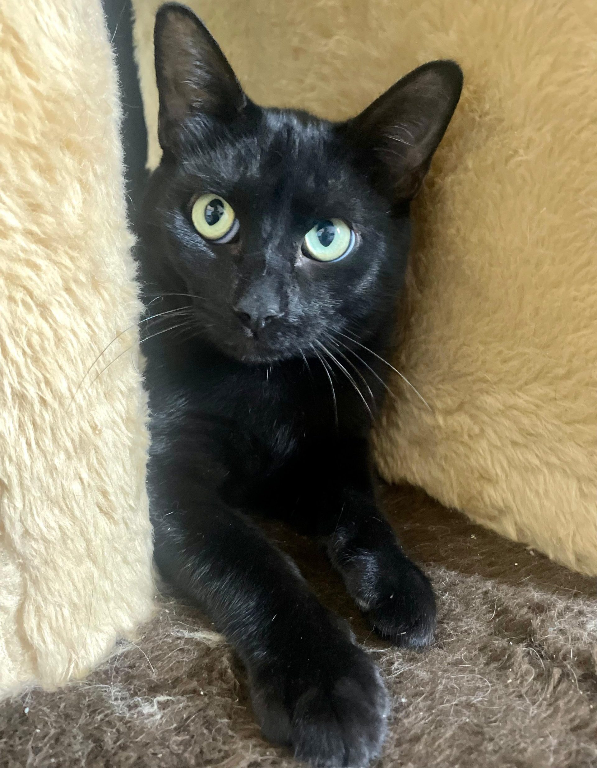 9163bacd-74d9-4feb-888b-af4a9d251ef9