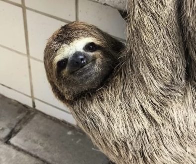 c3cdfe8c-5ade-42ee-adab-7c0c3a63fb97