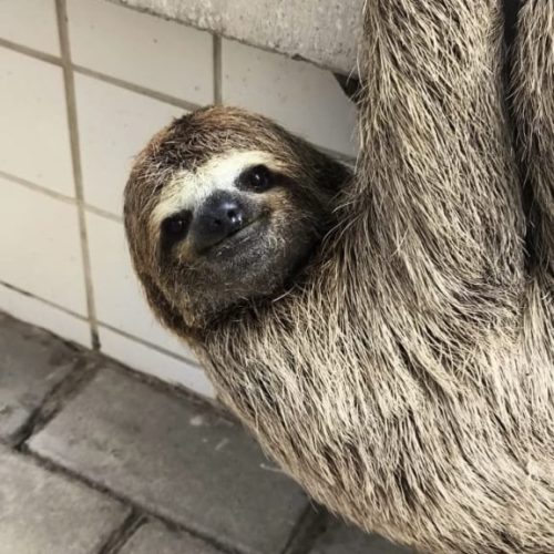 c3cdfe8c-5ade-42ee-adab-7c0c3a63fb97